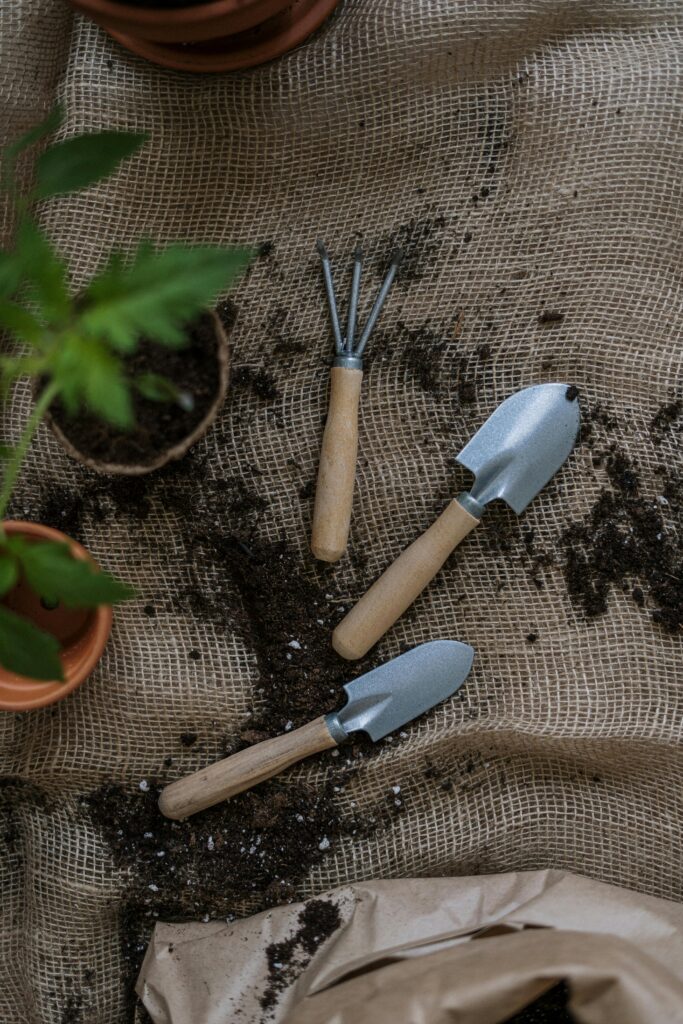 pexels-photo-4503269-4503269 Gardening tools with potted plants and soil on burlap, perfect for home gardening themes.